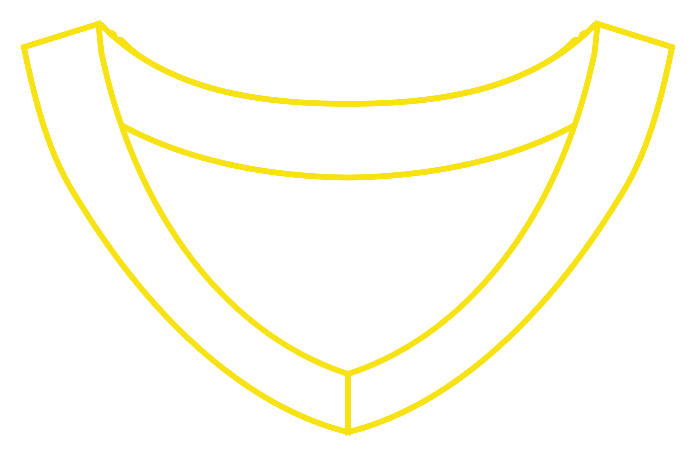 Basketball Collar